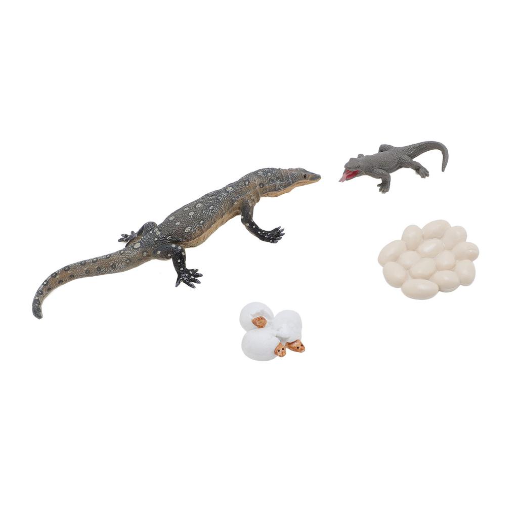 4 Pcs Lizard Life Cycle Toy PVC Realistic Educational Reptile Animal Growth Cycle Toy