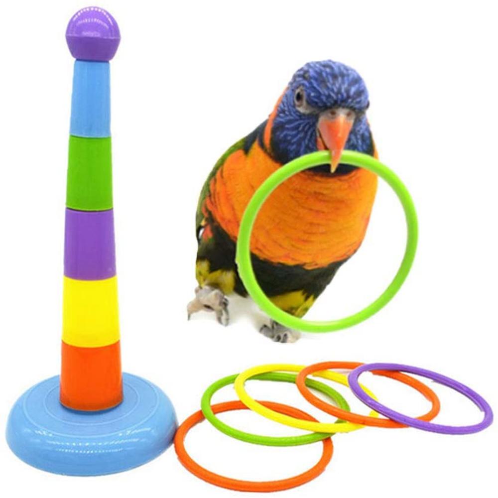 Activity Playground Development Parrots Platform Colorful Rings Bird Chew Toy Ferrule Toy