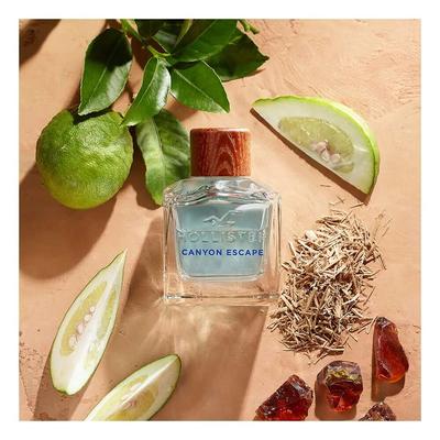 Hollister - Туалетная вода Canyon Escape для него 50 мл -