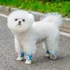 4pcs Knitted Dog Socks Cartoon Pet Dog Accessories High Quality Pet Socks