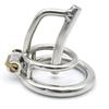Stainless Steel Chastity Belt with Hollow Penis Plug Penis Restraint Training SM Goods SM Play Chastity Device Restraint for Men Fixed Ring Inner