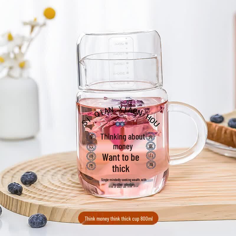 800ml Borosilicate Glass Tea Infuser Water Bottle