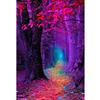 DIY Diamond Painting Landscape Sunset Sea Full Drill Embroidery Tree Scenery Mosaic Art Picture of Rhinestones Home Decoration