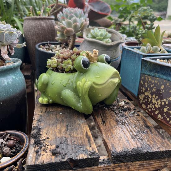 Горшок для цветов в виде лягушки из смолы, кашпо в форме лягушки, декор для сада, для помещений и улицы, горшок для растений в виде лягушки для суккулентов, кактусов, настольных растений на балконе