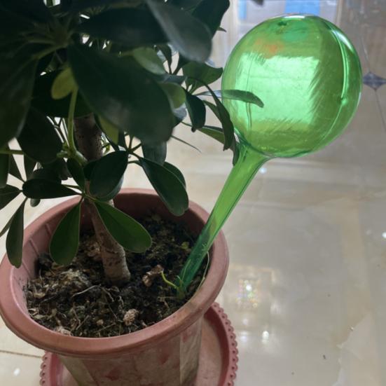 12 шт., прозрачные автоматические шарики для полива растений, простая установка, легкое заполнение, домашние и уличные растения, самостоятельные