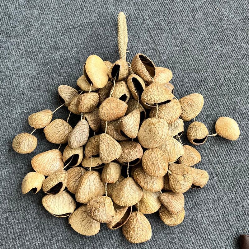 Музыка ветра Натуральные семена Звон колокольчиков Ударные инструменты Редкий музыкальный инструмент Целебные звуки Медитационные аксессуары