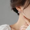 Серьги-гвоздики с полностью бриллиантовым цирконием и лебедем, серебряные игольчатые серьги High Sense Light Luxury Temperament, модные простые маленькие серьги оптом