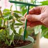 4/8/12pcs Plastic Plant Support Pile Stand Plant Specific Support Rods  Gardening Tool