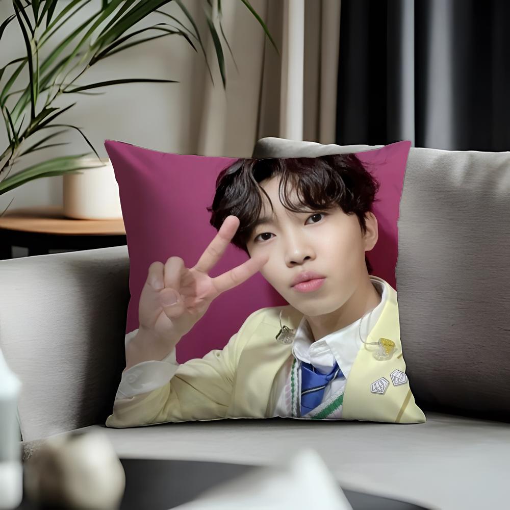 Trending LLlim Young Woonged Cushion Cover Antidustmite Pillowcase Invisible Zipper Silky Short Plush Sofa Cushion Cover