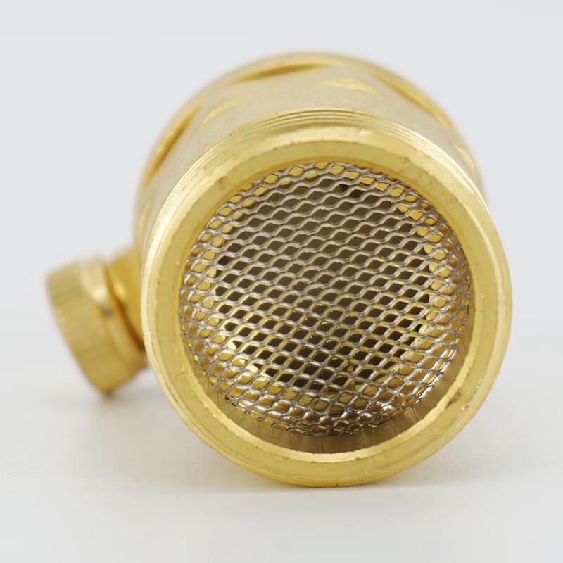 Haishidik Automatic Brass Air Vent Valve
