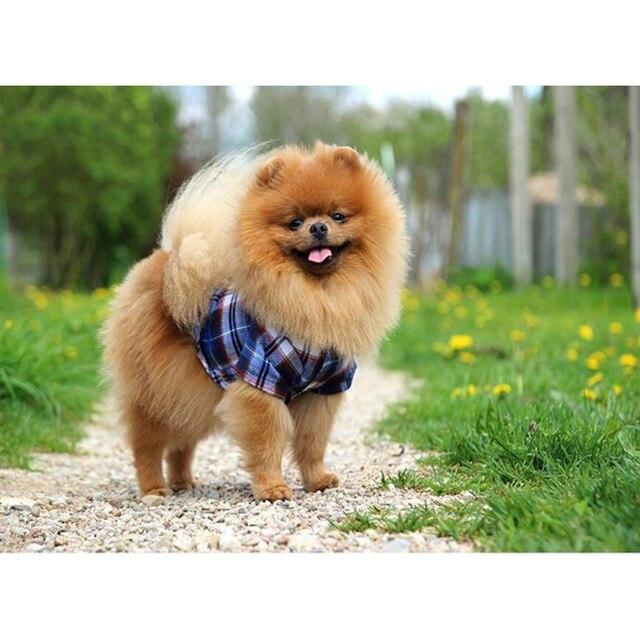 5D DIY Алмазная картина Набор Милый щенок Искусство Алмазная вышивка Стразы Украшения для дома