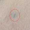 Very Good HERMES shawl Extra large with embroidered logo pink cashmere Women Used