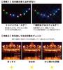 Kenko Cross Filter PRO1D Star 58mm 4 Cross Effect for Night and Light Production 825815 R-Twinkle (W) View, Illumination,