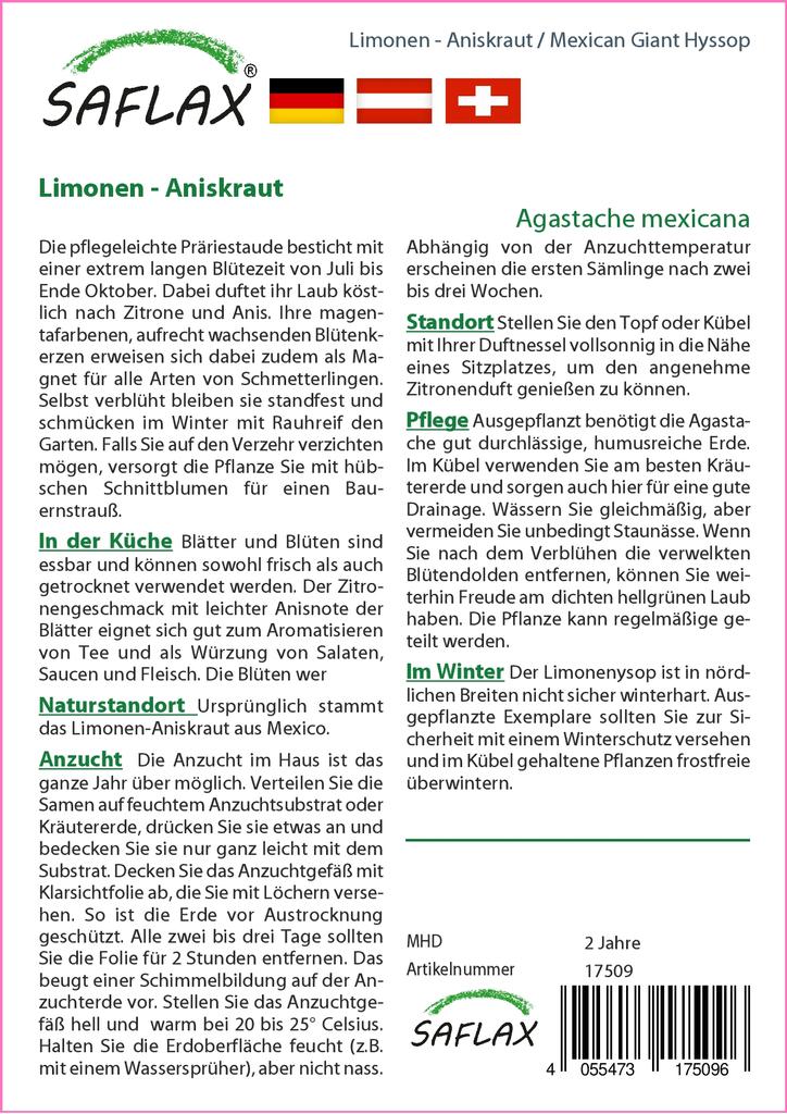 SAFLAX Garden in the Bag - Иссоп мексиканский гигантский - 50 семян - С субстратом в подходящем стоячем пакете - Agastache mexicana