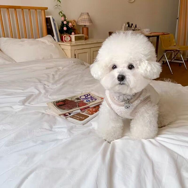 Pet Cotton Coat Autumn And Winter Schnauzer Teddy Bichon Pomeranian Cat And Dog Clothes Thickened And Warm