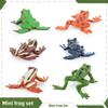 Mini Pvc Frog Model Static Animal Figurine For Kids Learning And Home Decorations