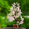 Rose Quartz Crystal Gemstone Bonsai Money Tree Golden Wire 300 Beads Figurine Home Office Decoration Showpiece Standard Size (Rose Quartz)