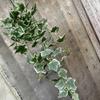 Плющ Подвесная Зелень Лиана Искусственные Растения Настенный Декор Гостиная Дом Подарок