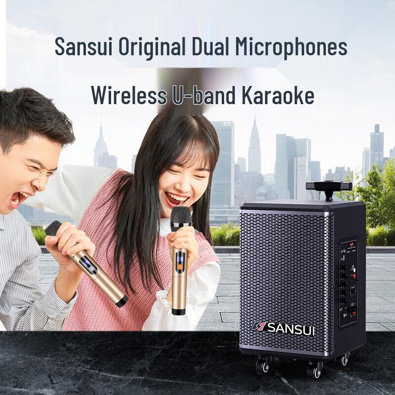 SANSUI TE06 8-inch Portable Karaoke Speaker (CN version)