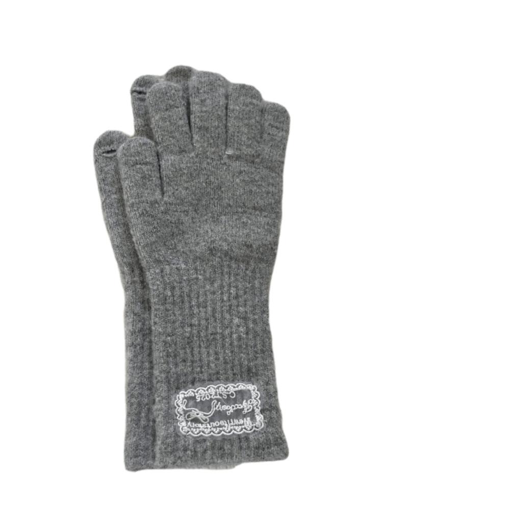 Thicken Winter Gloves Warm Five Finger Gloves Korean Style Touch Screen Gloves Women