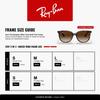 Солнцезащитные очки RB4378F Азиатская посадка Ray-Ban