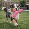 EVA Pet Interactive Flying Disc Wear-Resistant Dog Training Toy Creative Tooth Chew Toy  Backyard