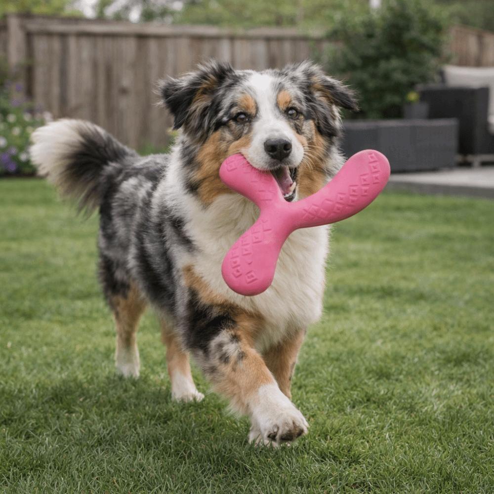 EVA Pet Interactive Flying Disc Wear-Resistant Dog Training Toy Creative Tooth Chew Toy  Backyard