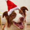 3D Christmas Pet Santa Adjustable Hat For Dogs Cats Christmas Costume Pet Accessories Halloween Holiday Christmas Party Cap