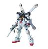 MG Мобильный костюм Crossbone Gundam Crossbone Gundam Масштаб Пластиковая модель Сборная модель X-1 Версия Ka 1/100 Предварительно окрашенная