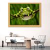 5D Diy Diamond Painting Big Tree Frog Embroidery Mosaic Art Picture of Rhinestones Decor Gift