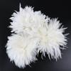800-1000 Pcs/Lot White Rooster Feathers Trim 4-8" Chicken Feather Strip Natural Feather Plumes Jewelry Costume Hat Party Decor