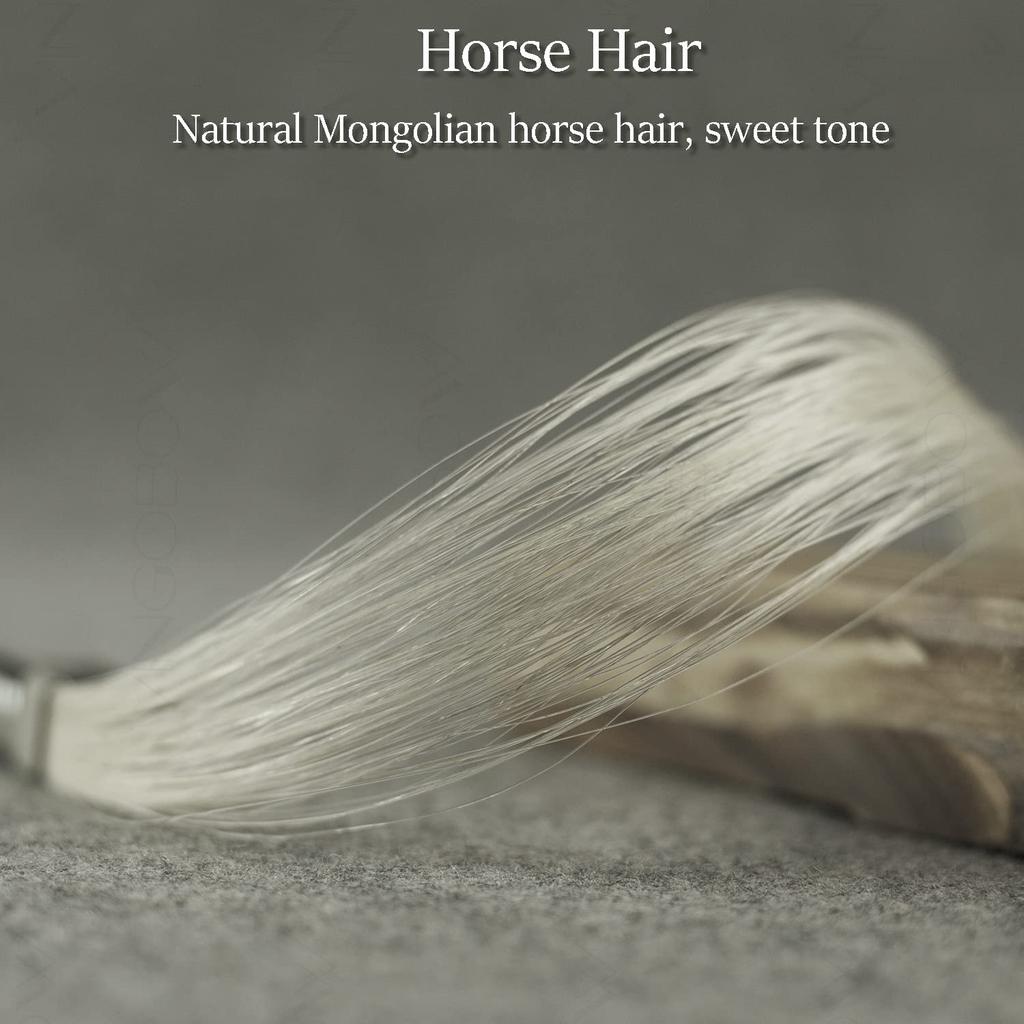 VINGOBOW German Double Bass Bow, Advanced, 12 Size, Pernambuco, Performance