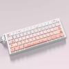74 клавиши Боковая печать Полупрозрачные колпачки клавиш Sakura Оригинальный профиль Сублимация Подсвечиваемая колпачок клавиши для 60 Механические клавиатуры