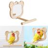 Bird Perch Stand Mirror Toy for Parrots Birdcage Stand Platform Cage Toy Bear Shape Mirror Cage Accessories Birds Toy