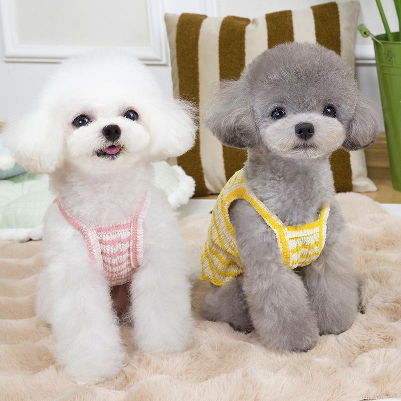Домашний кот Маленькая собака Померанский шпиц Шнауцер Одежда для собак Летний топ-слинг