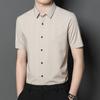 Summer New Young and Middle-Aged Thin Striped Solid Color Short Sleeve Shirt Men's Lapel Business Casual Shirt Men