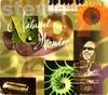 CD STEVIE WONDER - Natural Wonder 3145305462 Motown 1995 US Рэп и хип-хоп/R&B Б/у