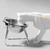 Raised Cat Bowls Tilted Neck Guard Cat Food Bowl 304 Stainless Steel Shatter-Resistant Elevated 15° Pet Supplies For Puppy Cat
