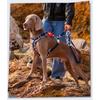 Adjustable Pet Harness Vest Small Medium Large Dogs Anti-Escape Comfortable Lift Handle Walking Control