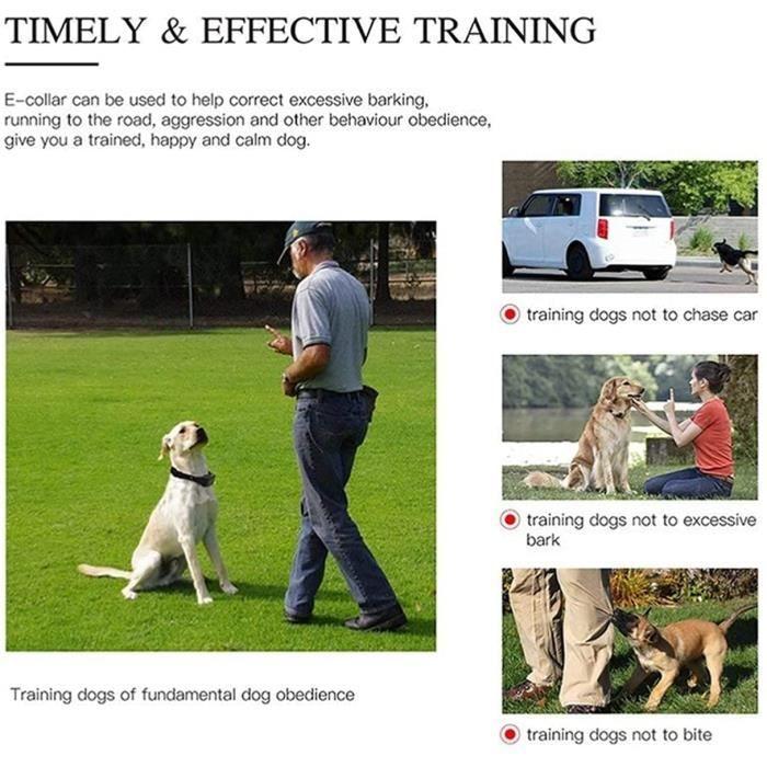 Collier Anti Aboiement - Rechargeable - Étanche - 500 mètres - Dressage Chien