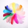 Goose Feather 6cm~11cm For Beautiful Decoration Handicraft Gift Box DIY 50/100/150pcs Colorful Goose Feathers