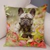 Home Decor Cute Pet Mini French Bulldog Pillowcase Sofa Car Decoration Animal Dog Cushion Cover Printed