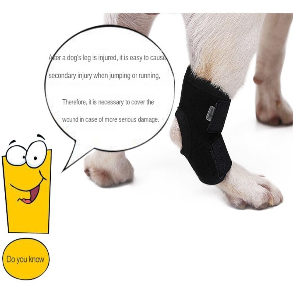 Arthritis Protector Cover Dogs Hock Joint Brace Dog Leg Support Pet Knee Pads Dogs Injury Recovery