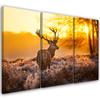 Three Piece Picture Canvas Print Deer Forest Sunset
