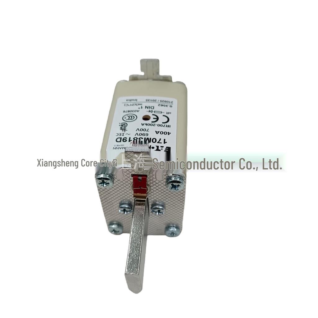 Original 170M3819D Fast-Acting Ceramic Fuse