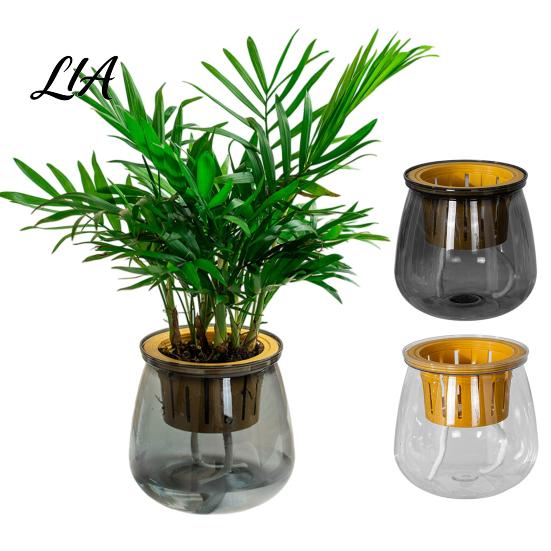 Easy Clean Plant Basin Self Watering Planter for Indoor Plants, Transparent Hydroponic Planter, Decorative Pot Flowerpot with Wick Rope Home