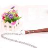 Pet Collar Dog Chain Pet Traction Chain Pet Out Traction Rope Practical Anti-bite Dog Rope
