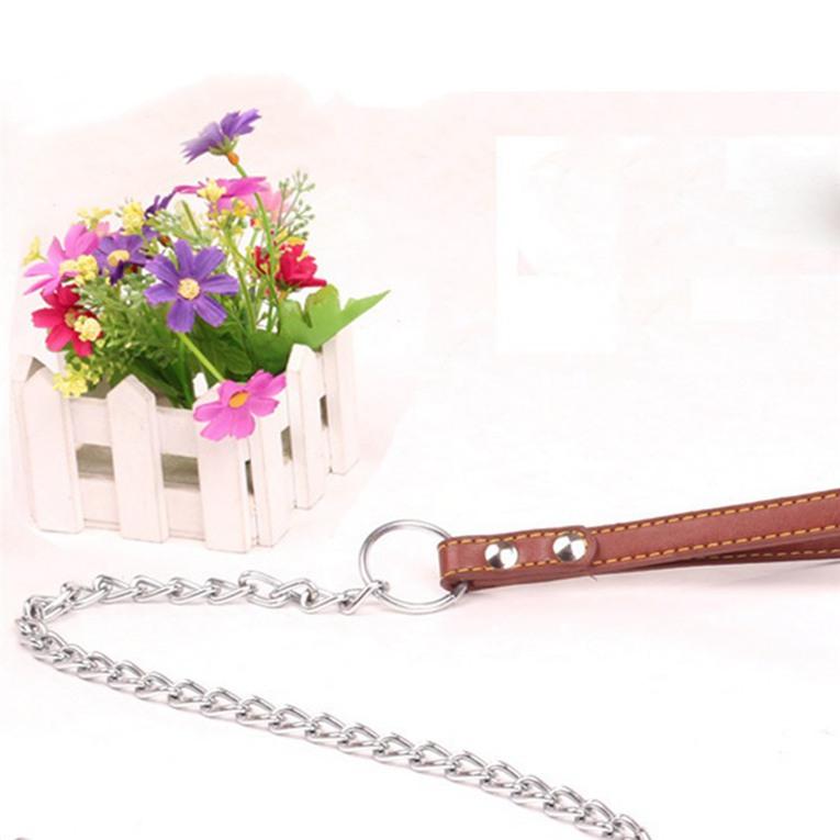 Pet Collar Dog Chain Pet Traction Chain Pet Out Traction Rope Practical Anti-bite Dog Rope