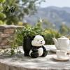 Cartoon Animal Flower Containers Cute Panda Succulent Planter Resin Plant Pot Gifts for Lovers Decorative Planter Pot Indoor Office Desk,
