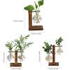 Simple Creative Hydroponic Wood Frame Small Vase Vase Decor Indoor Wooden Shelf Vase